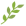 Зелена клонка с листа.